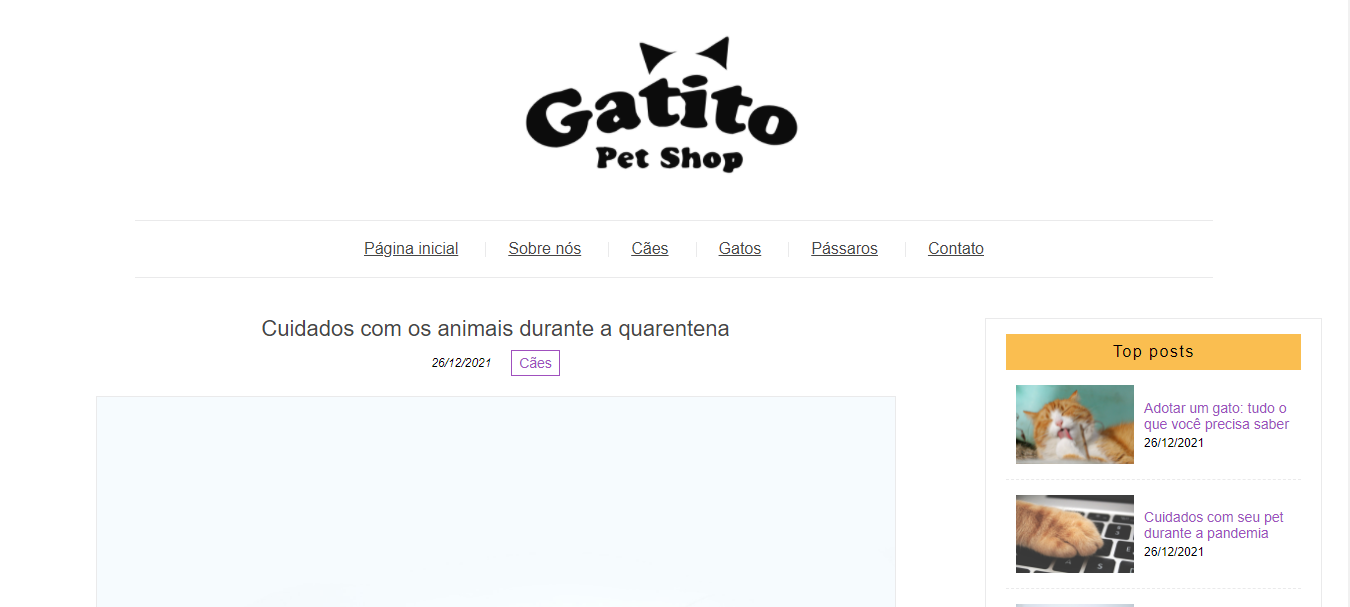 projeto-gatito